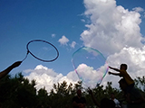 bolle19
